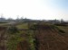 DSC00471.JPG